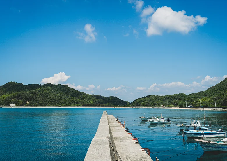 自然 × 都市のいいとこどり