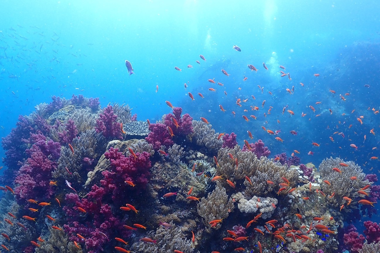 趣味からたどりついた海の暮らし。最高の日々が、待っていた